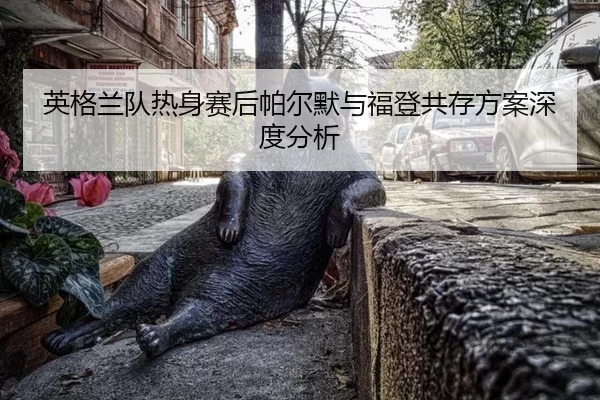 ying-ge-lan-dui-re-shen-sai-hou-pa-er-mo-yu-fu-deng-gong-cun-fang-an-shen-du-fen-xi-2-527.jpg